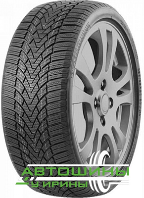 205/60R15 Roadmarch Vinterxpro 888 лип (91H)